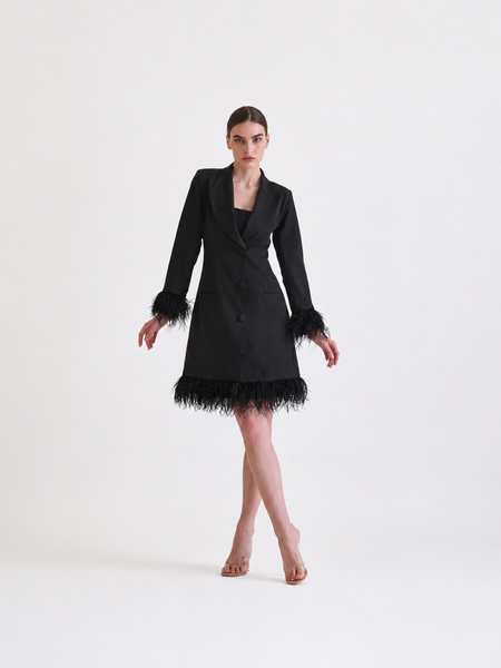 Feathers blazer dress
