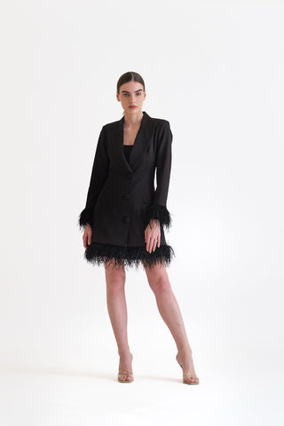 Feathers blazer dress